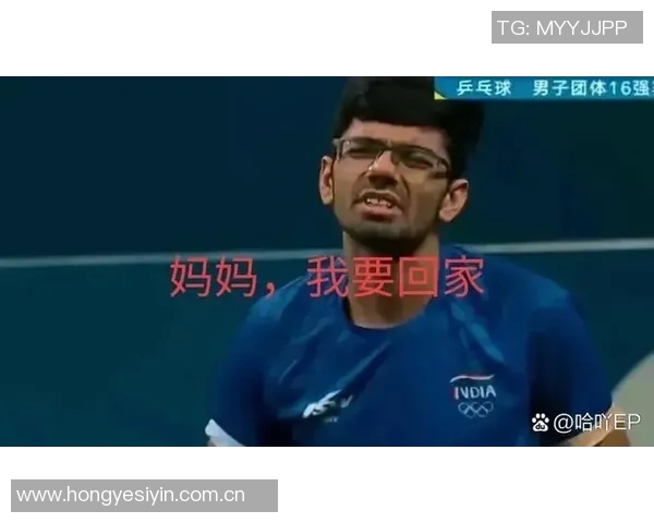 爆笑体育表情包合集盘点带你轻松看比赛笑点不断